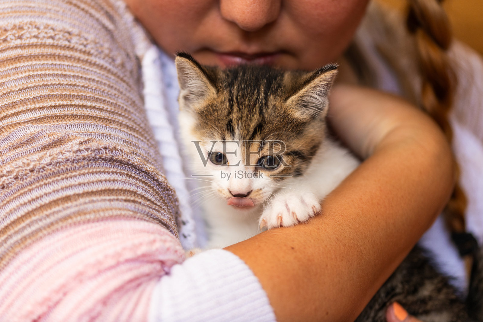 与小猫亲密无间照片摄影图片