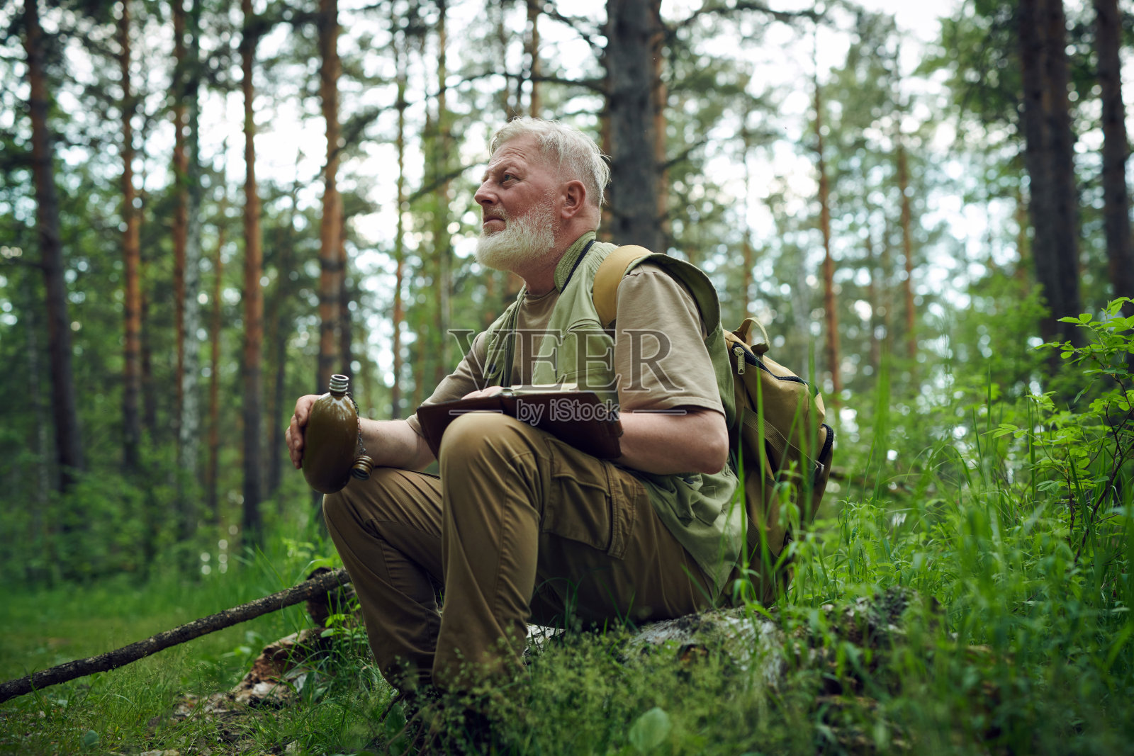 资深博物学家坐在倒下的树上照片摄影图片
