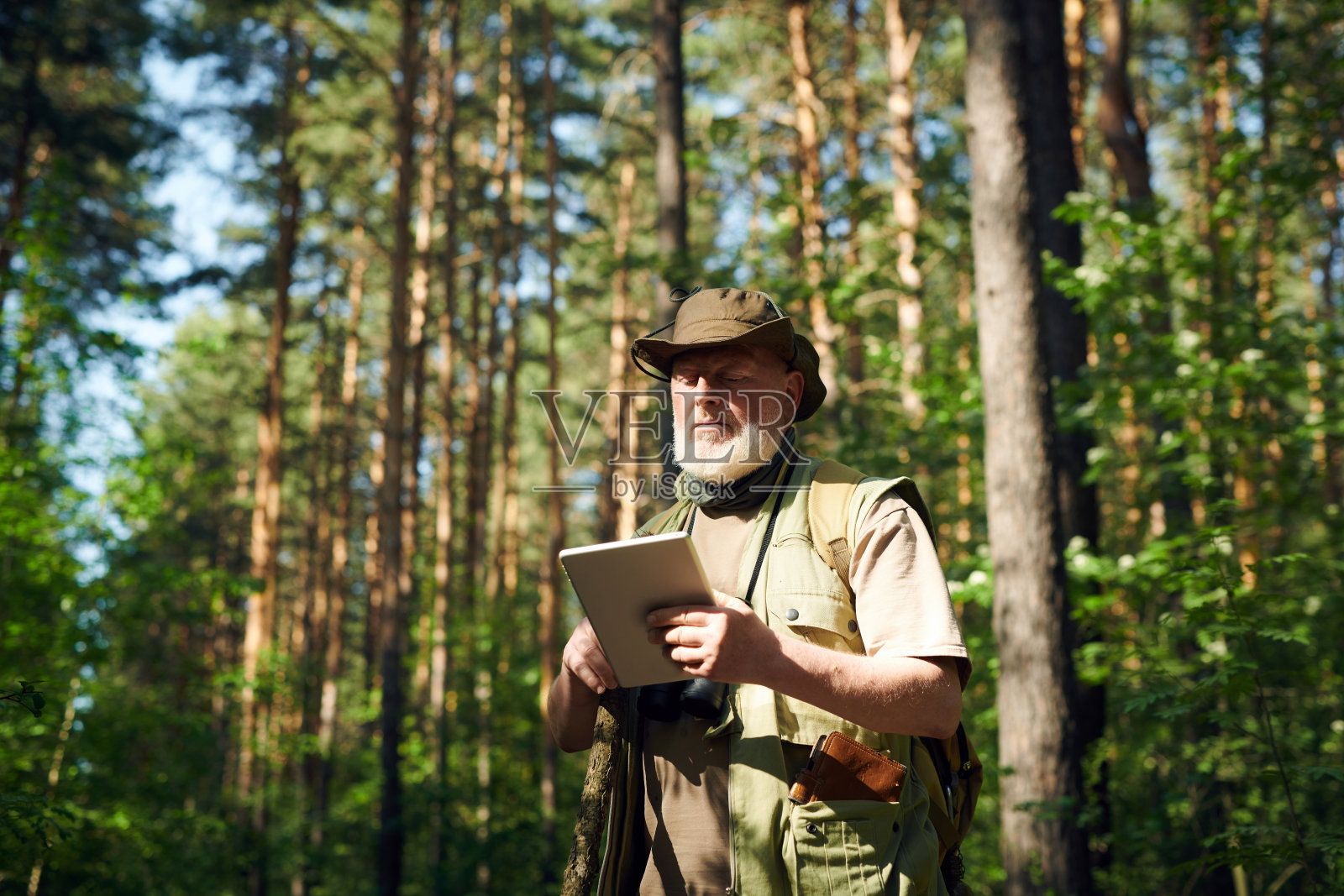 老人在森林里使用数码平板电脑照片摄影图片