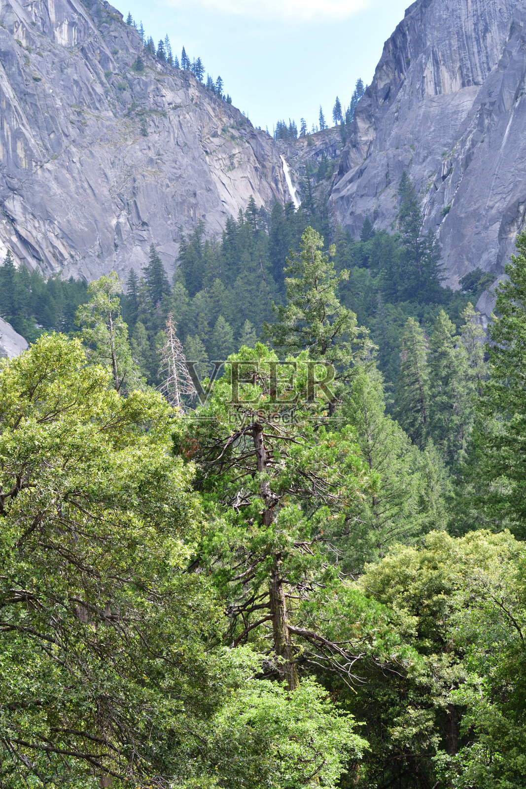 约塞米蒂国家公园照片摄影图片