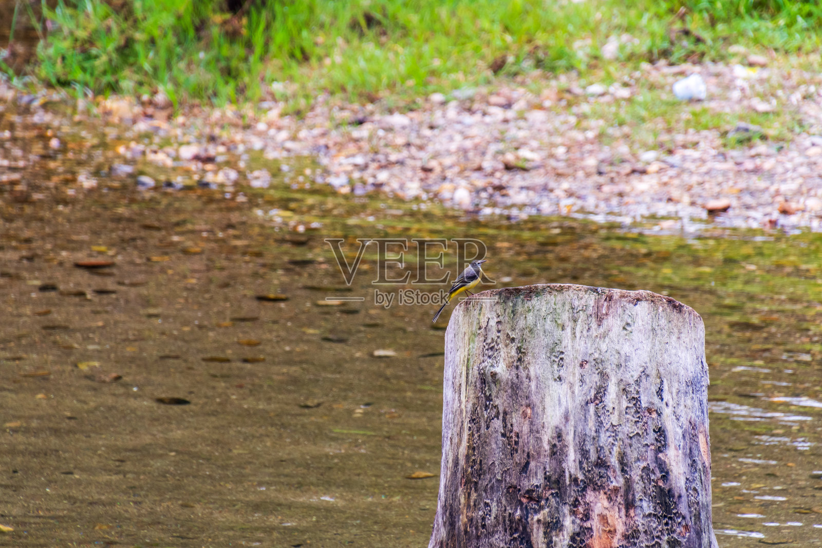 庞特雷阿斯的弗雷萨河海滩。照片摄影图片