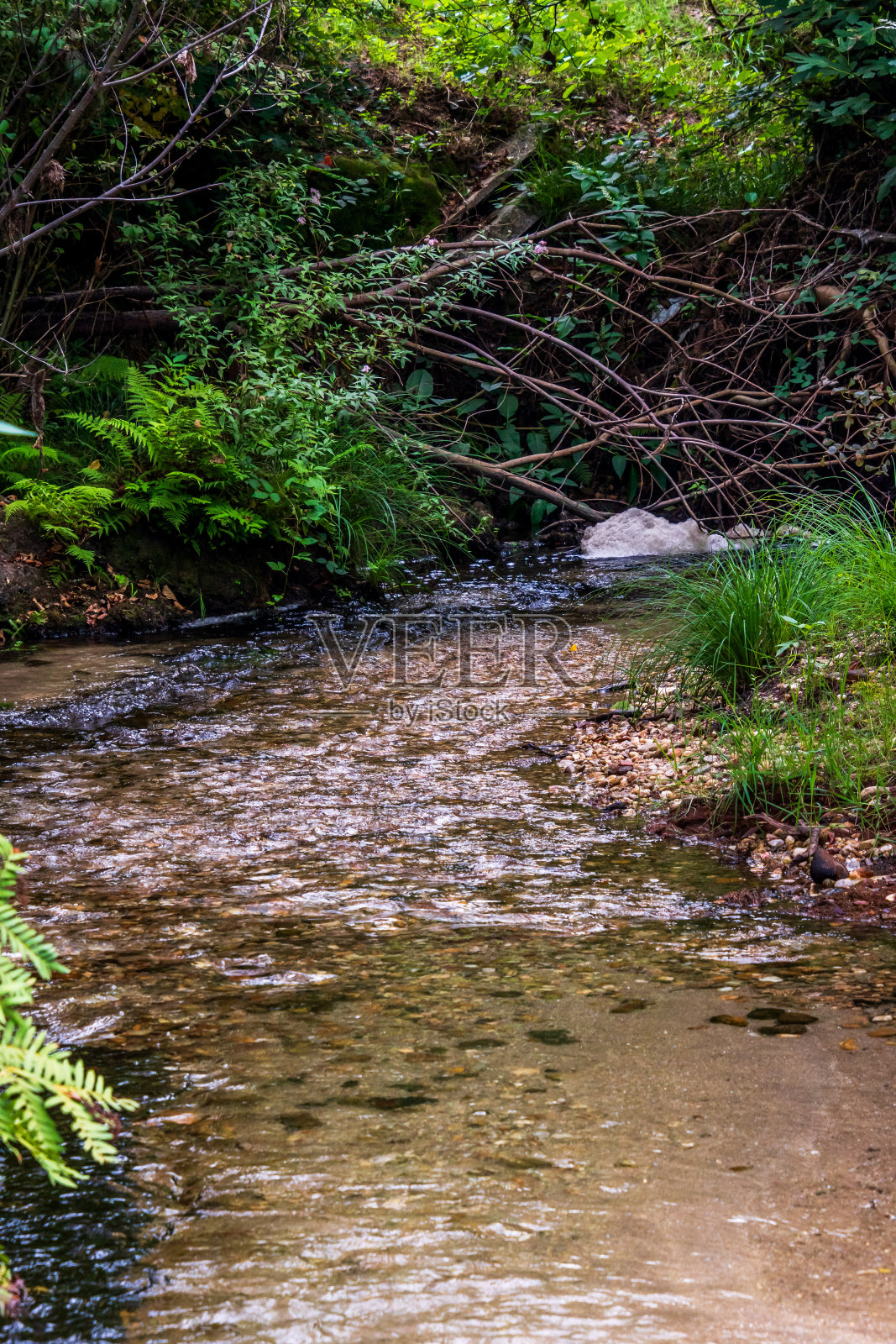 庞特雷阿斯的弗雷萨河海滩。照片摄影图片