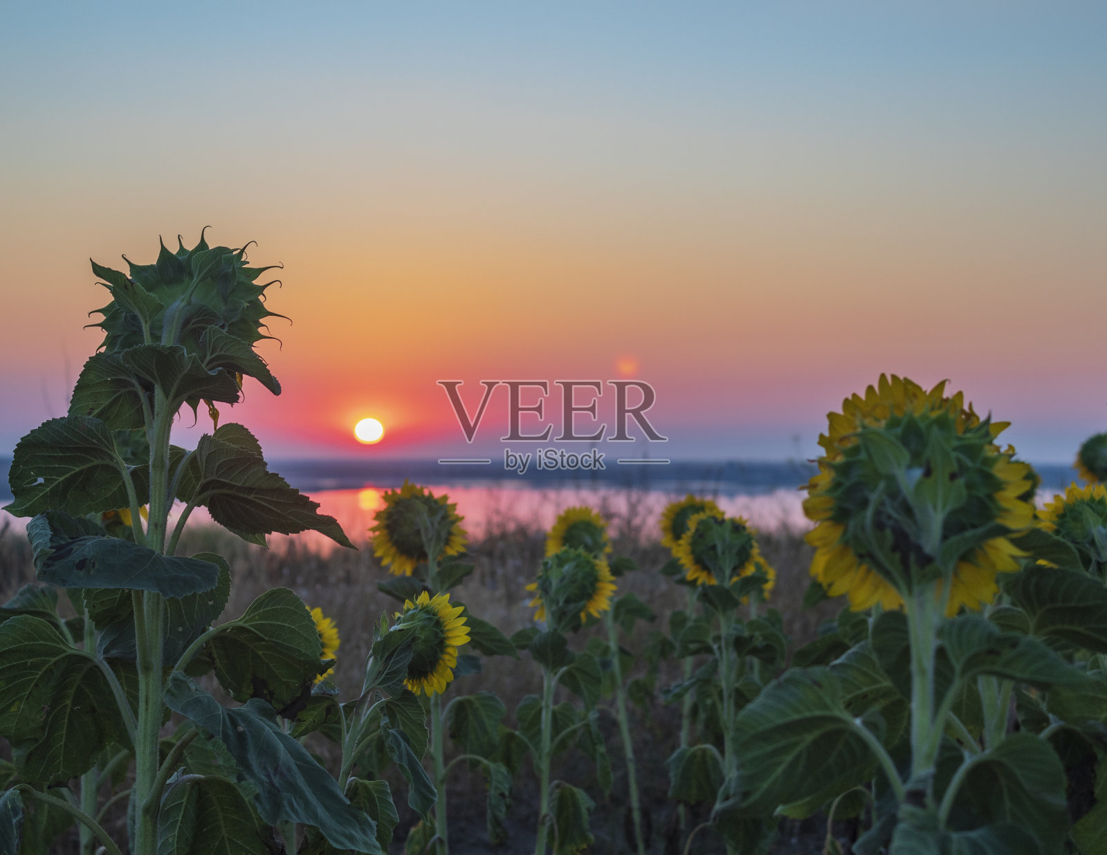 海，海岸-欧洲，罗马尼亚，康斯坦察地区照片摄影图片