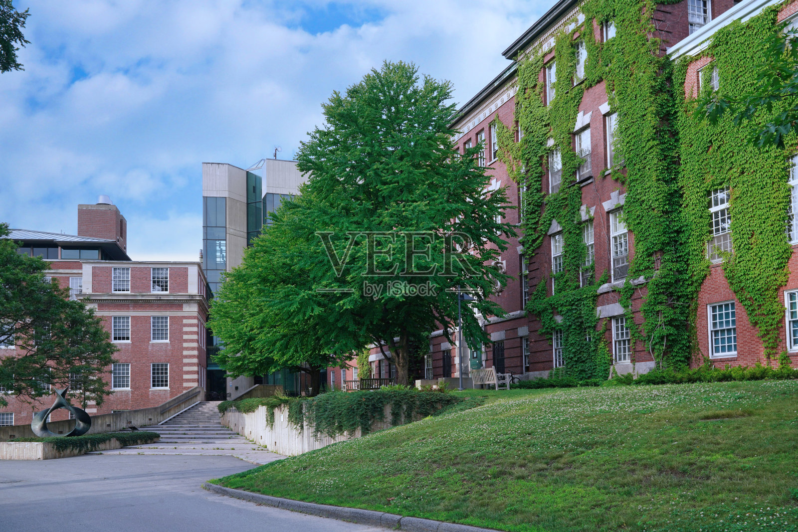 达特茅斯学院照片摄影图片