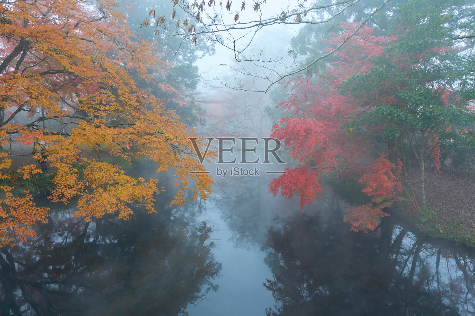 [玉府湖]金陵湖笼罩在晨雾和秋叶之中照片摄影图片