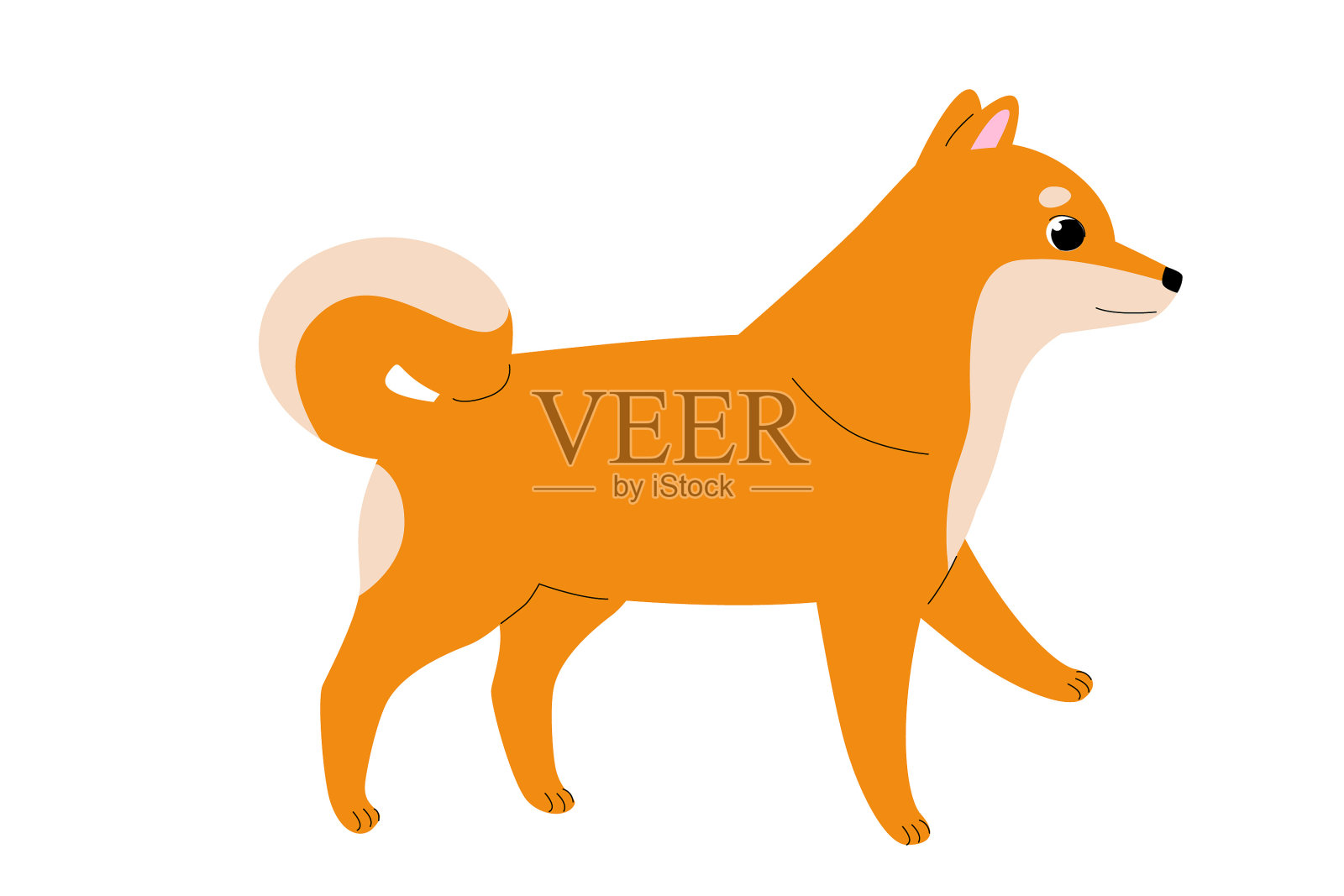 白色背景下的柴犬插画图片素材