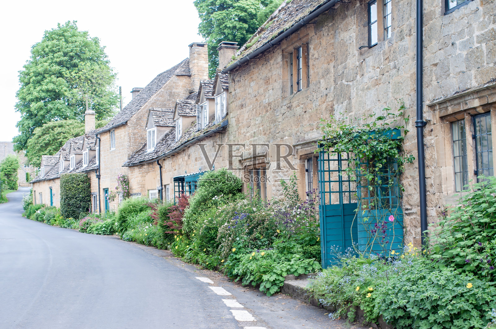 英国街上一排排低矮的房子照片摄影图片