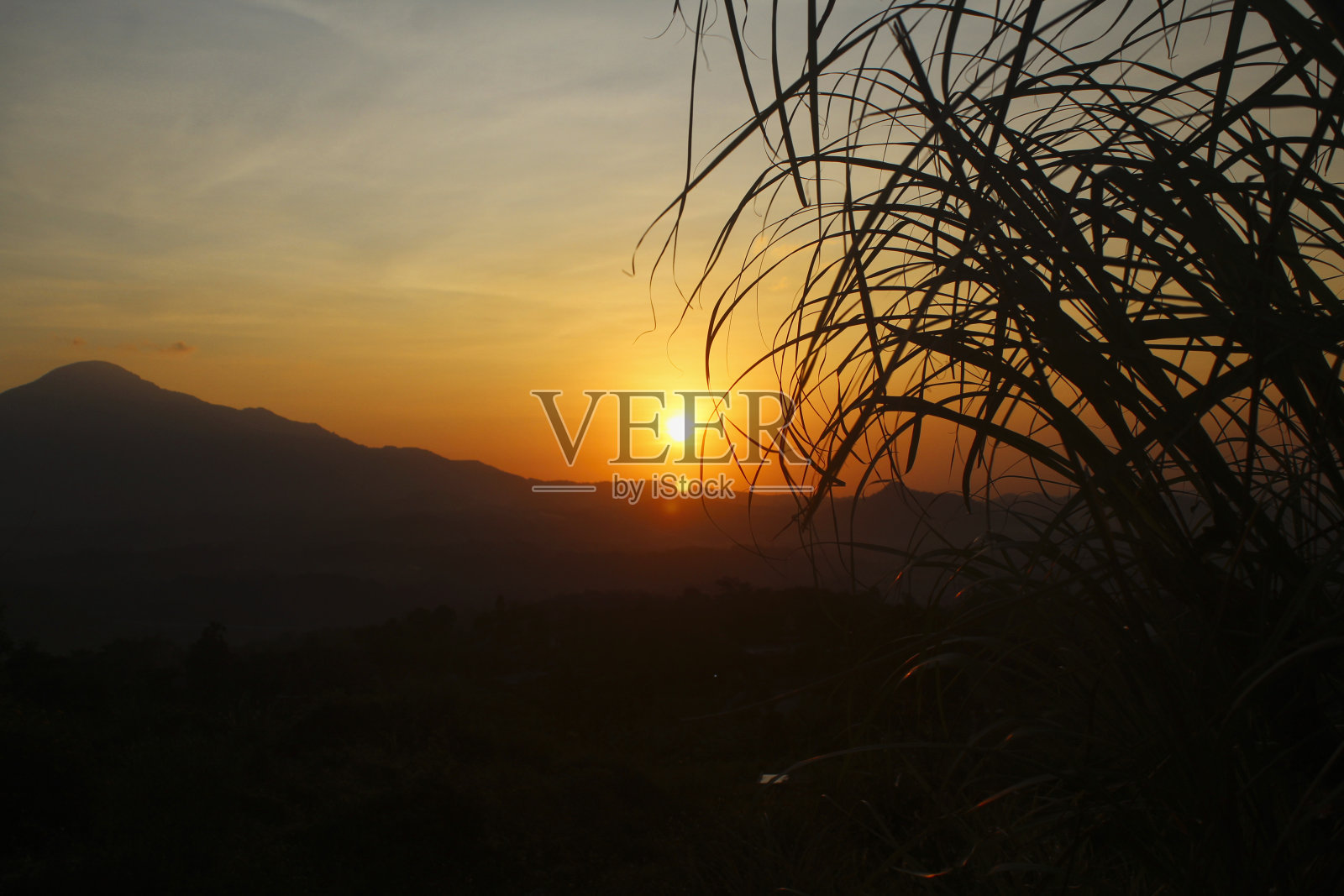 早晨的阳光照片摄影图片