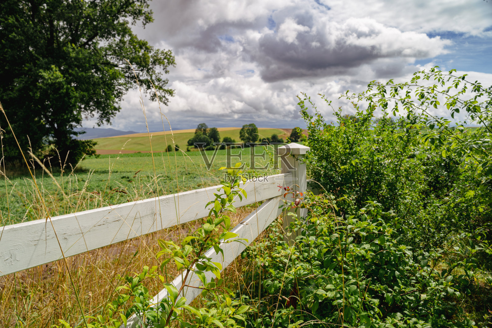 迷人的乡村栅栏和起伏的田野照片摄影图片