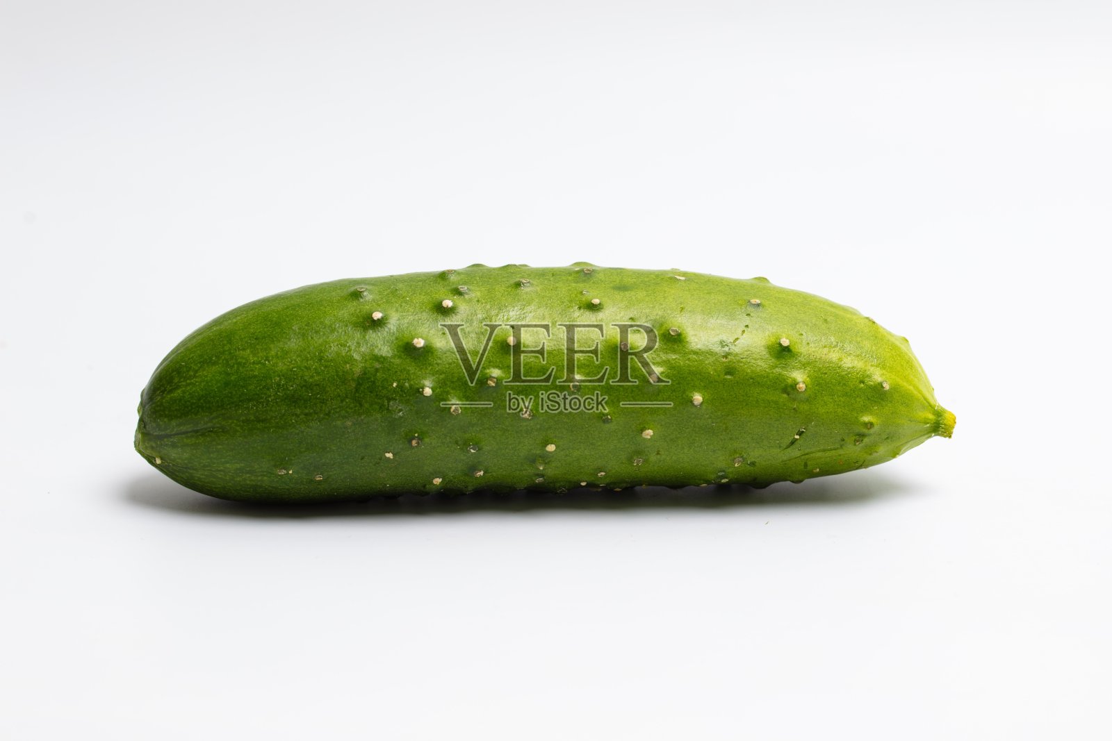 单瓣绿色黄瓜在白色背景上照片摄影图片
