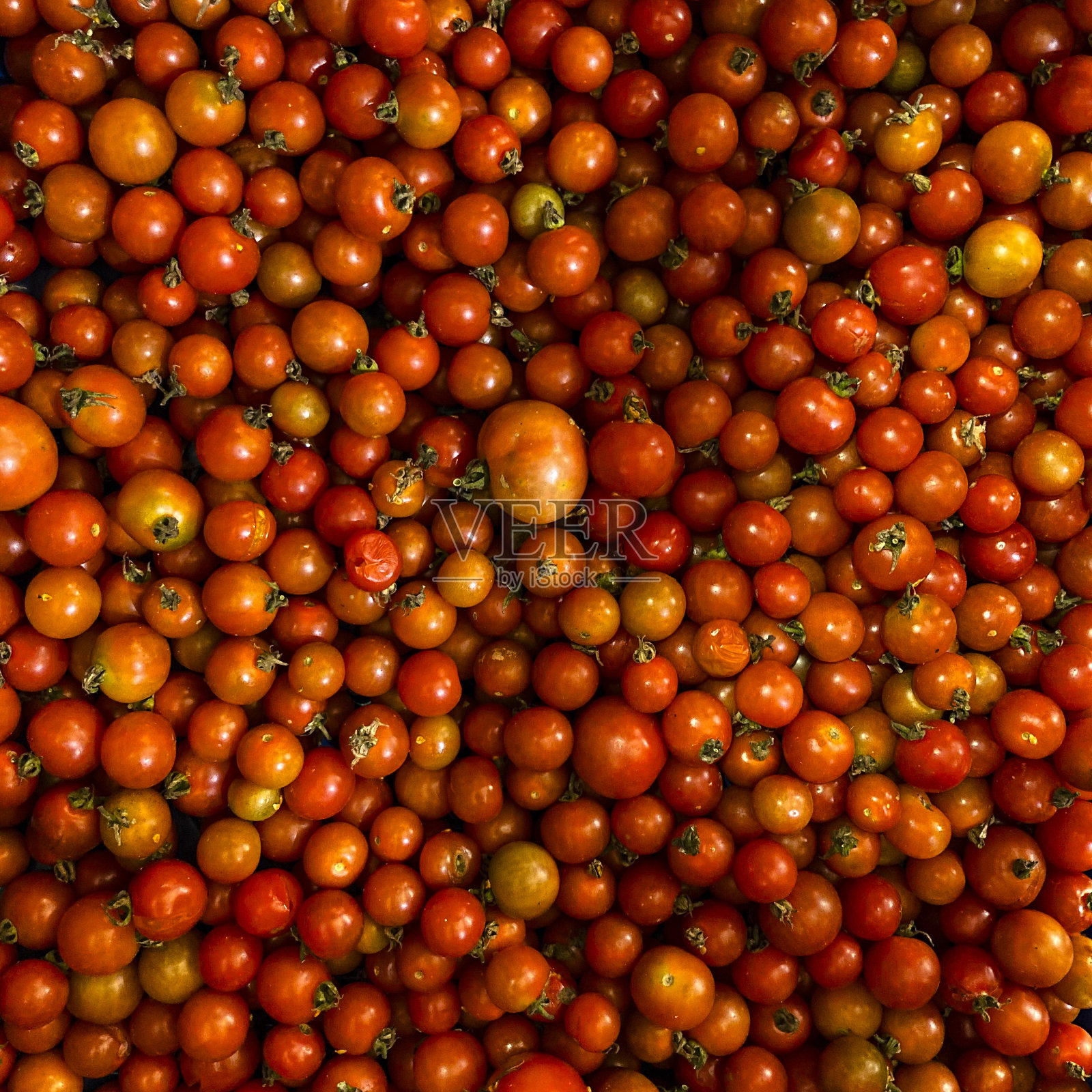 樱桃番茄照片摄影图片