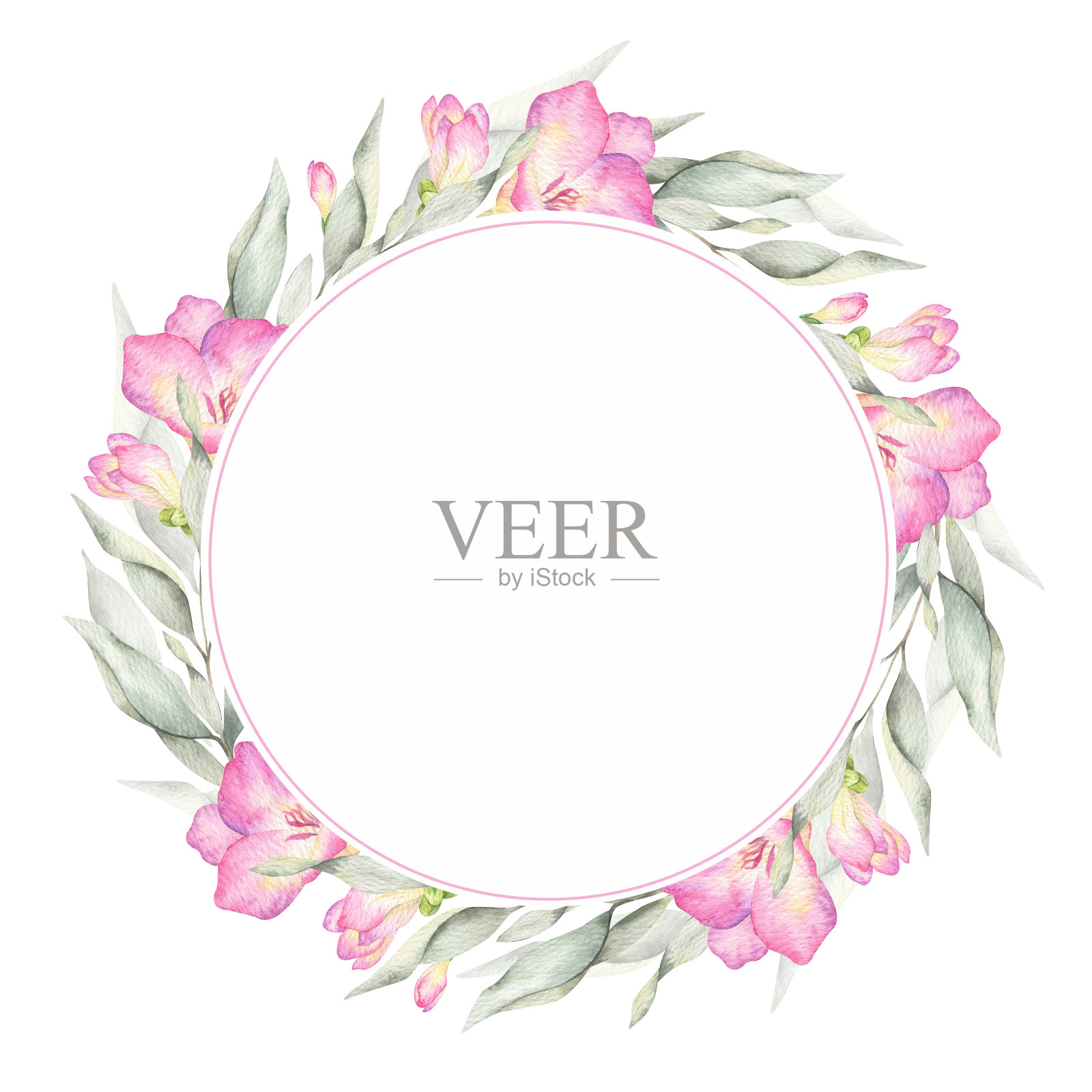 粉红色的花，花蕾和叶子。花园花圈。孤立的手绘水彩圆形框架。夏季花卉设计适用于婚礼请柬、明信片、商品包装、母亲节贺卡等插画图片素材