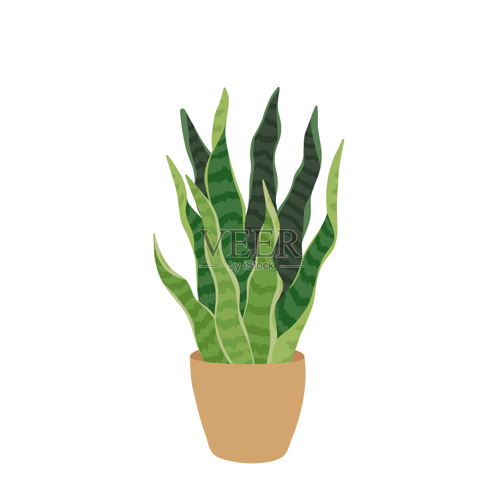矢量插图盆栽榕树植物在平面风格。适合家居装饰、环保设计和植物项目。增强你的内饰与这个时尚，充满活力的室内植物图形。插画图片素材