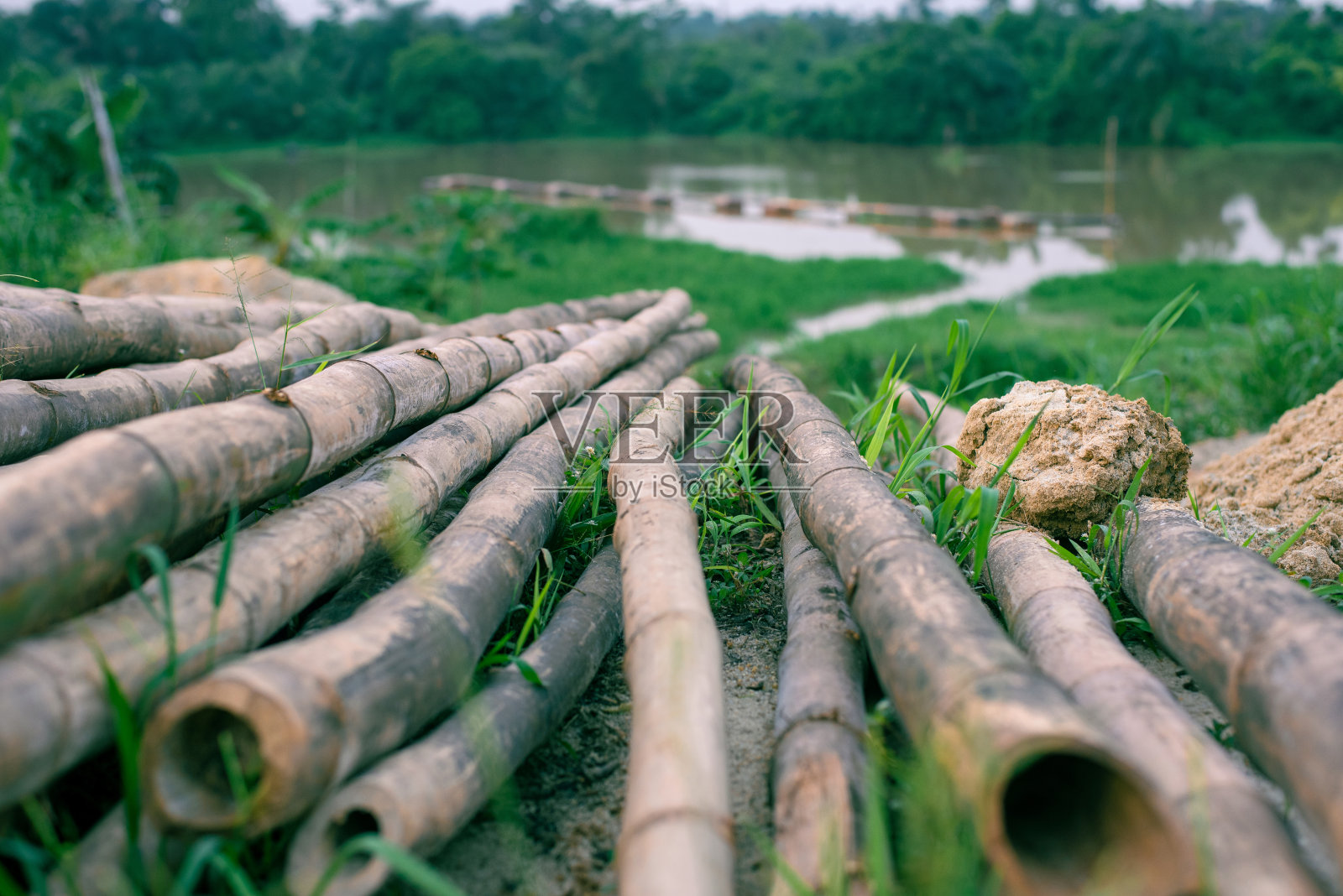 在沙岩采石场的竹子照片摄影图片