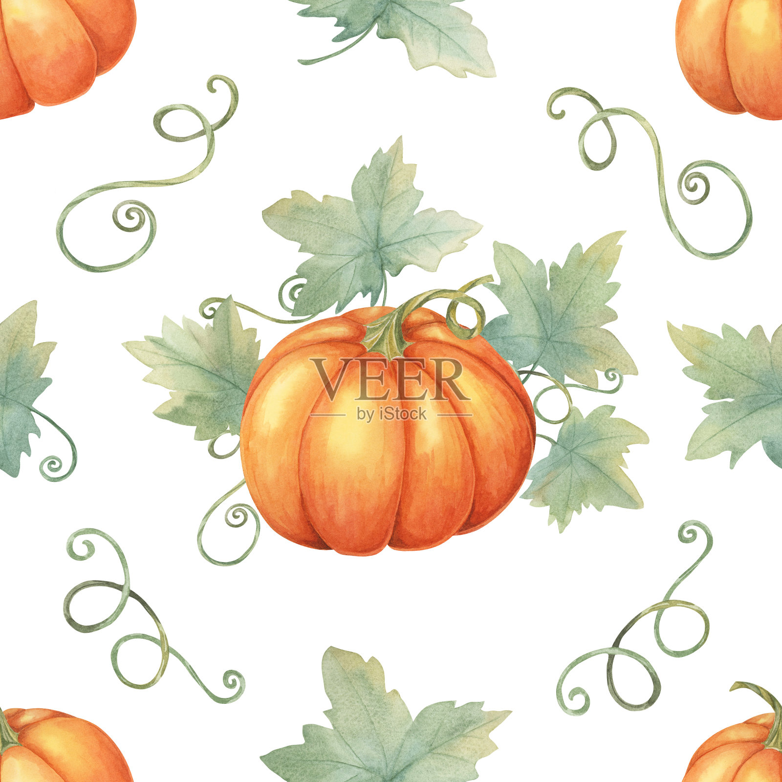 橙色南瓜与绿叶和藤蔓剪贴画。水彩无缝图案完美的秋季主题包装纸，织物设计插画图片素材