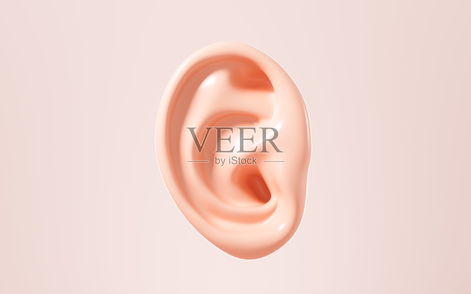 人耳模型，听觉系统，3d渲染。照片摄影图片