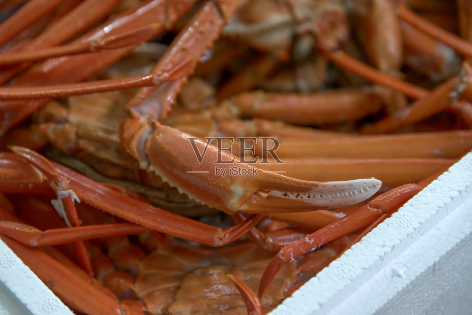 清蒸红蟹照片摄影图片