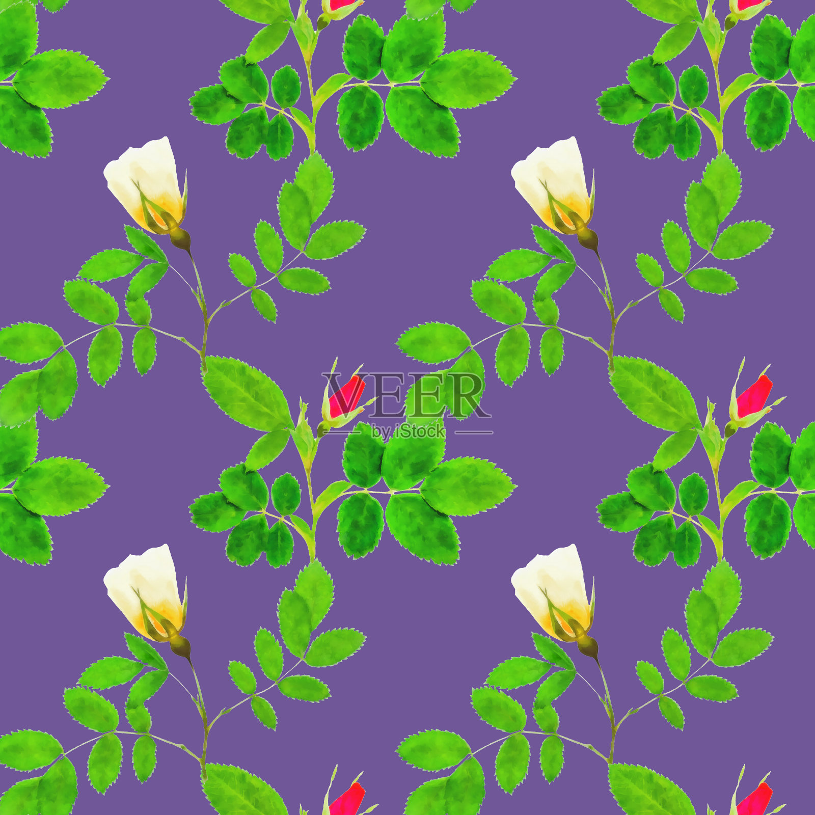 苹果的花。装饰设计元素，水彩，花卉点缀。大手帕，披肩，围巾的无缝图案。手帕图案或桌布印花，围巾，毛巾。适用于纺织、棉织物插画图片素材