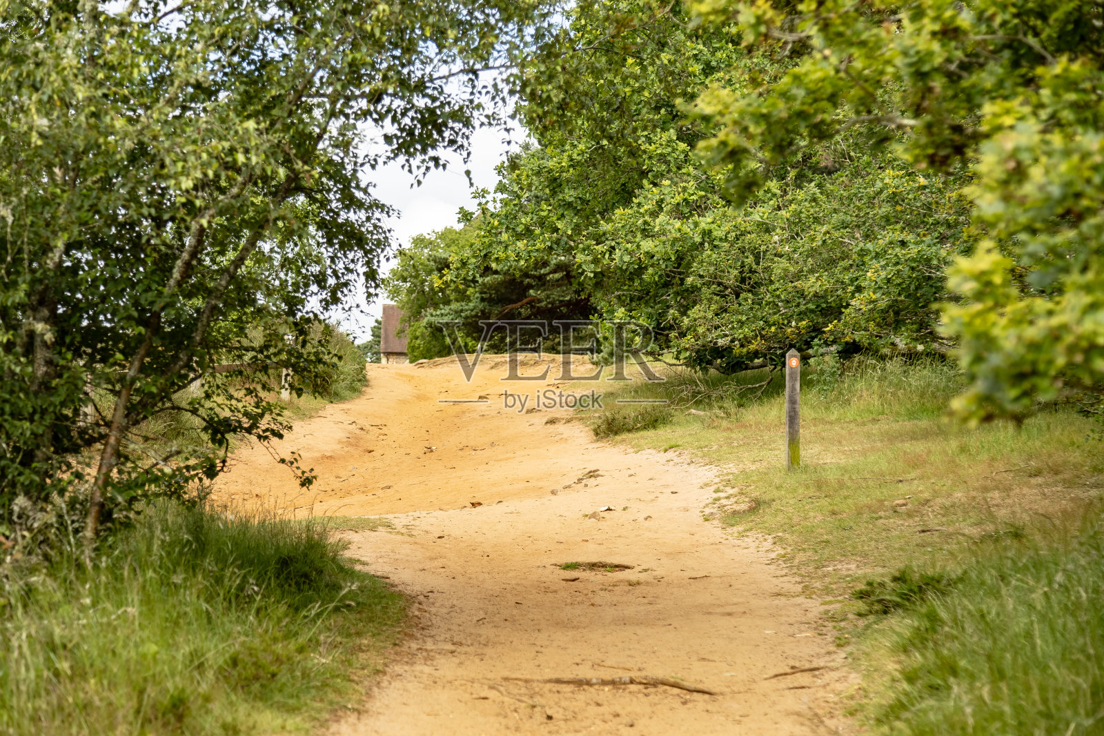 英国乡村小径照片摄影图片