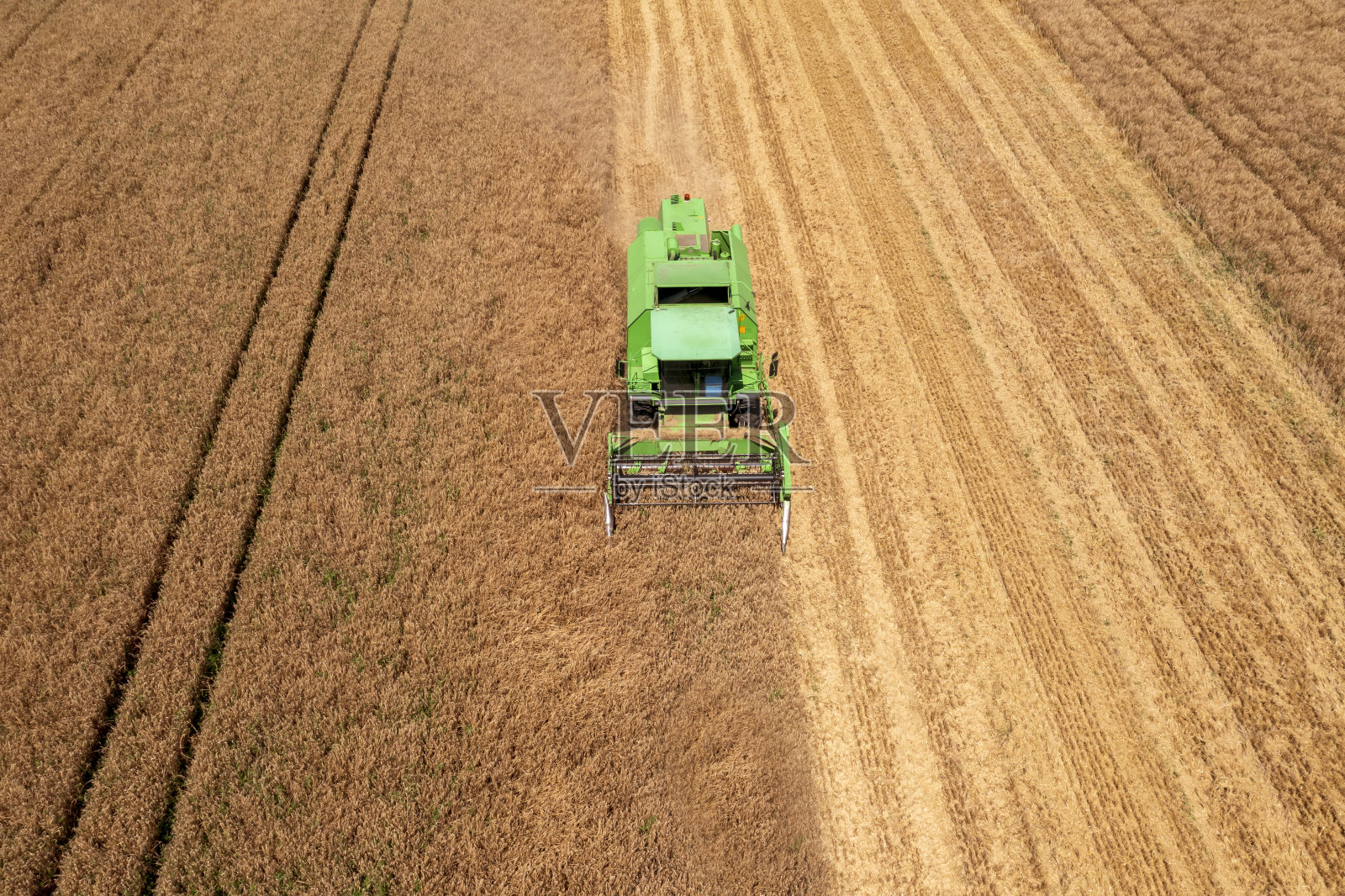 联合收割麦田照片摄影图片