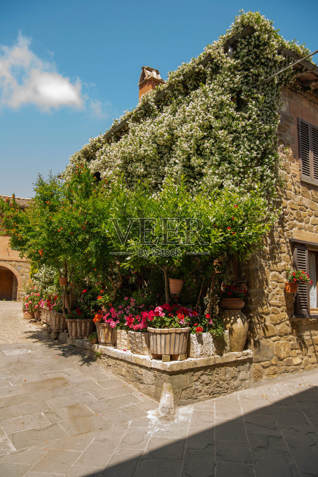 用攀缘植物和花盆装饰的石屋，蒙塔奇诺，意大利照片摄影图片