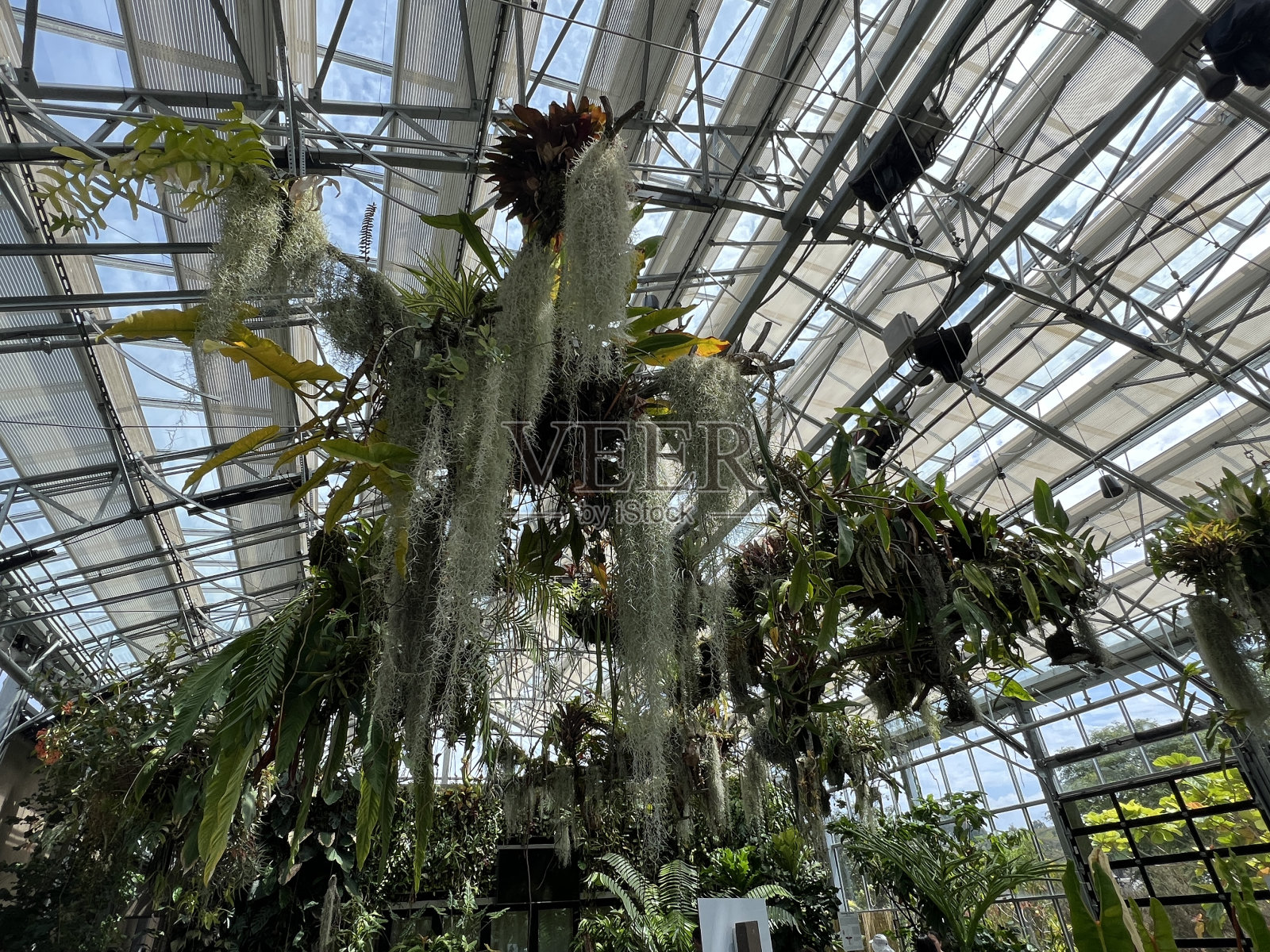 植物园照片摄影图片