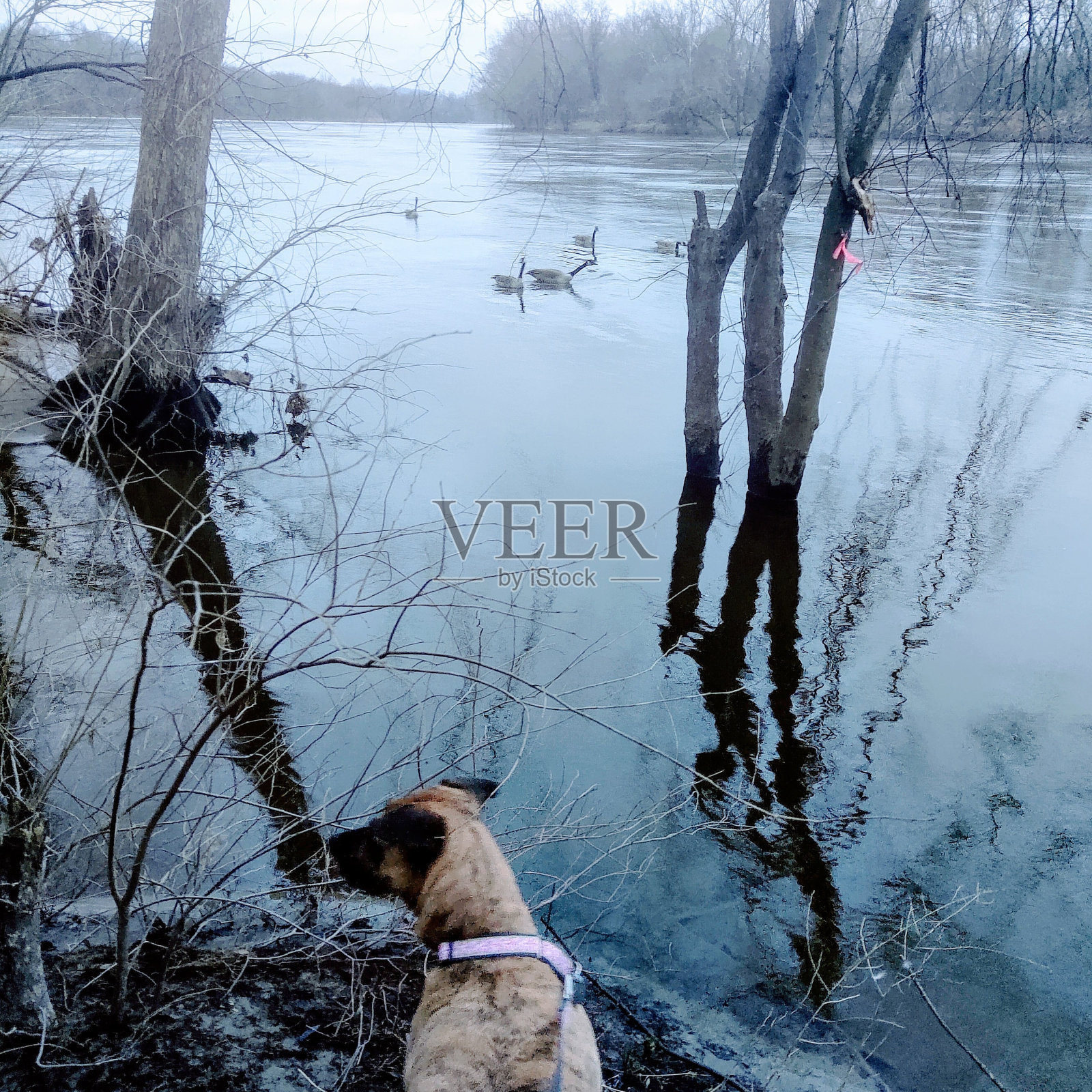 埃斯米照片摄影图片