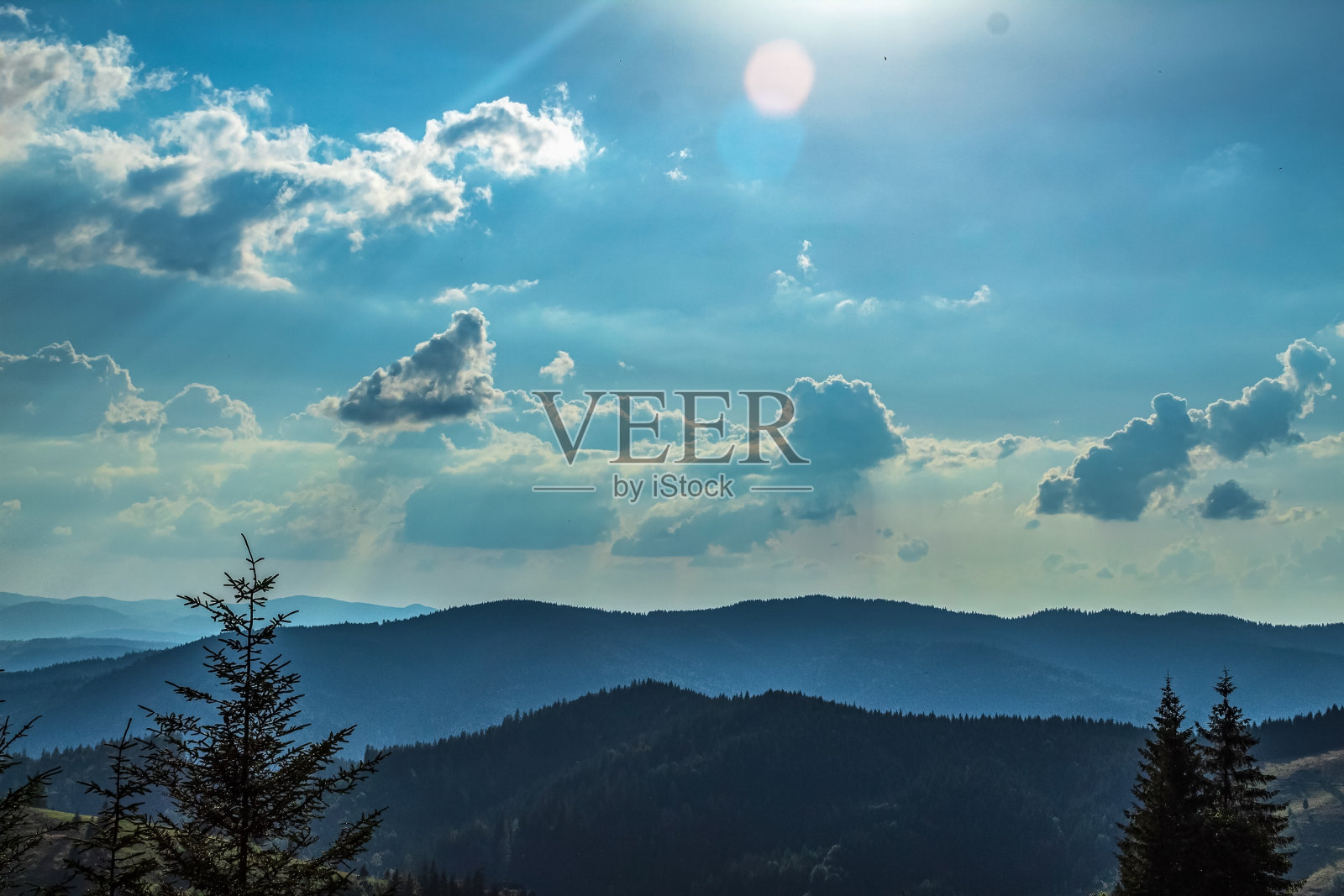 景观-森林-欧洲，罗马尼亚，苏切瓦地区照片摄影图片