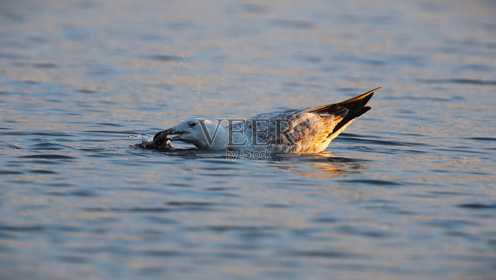 问题照片摄影图片