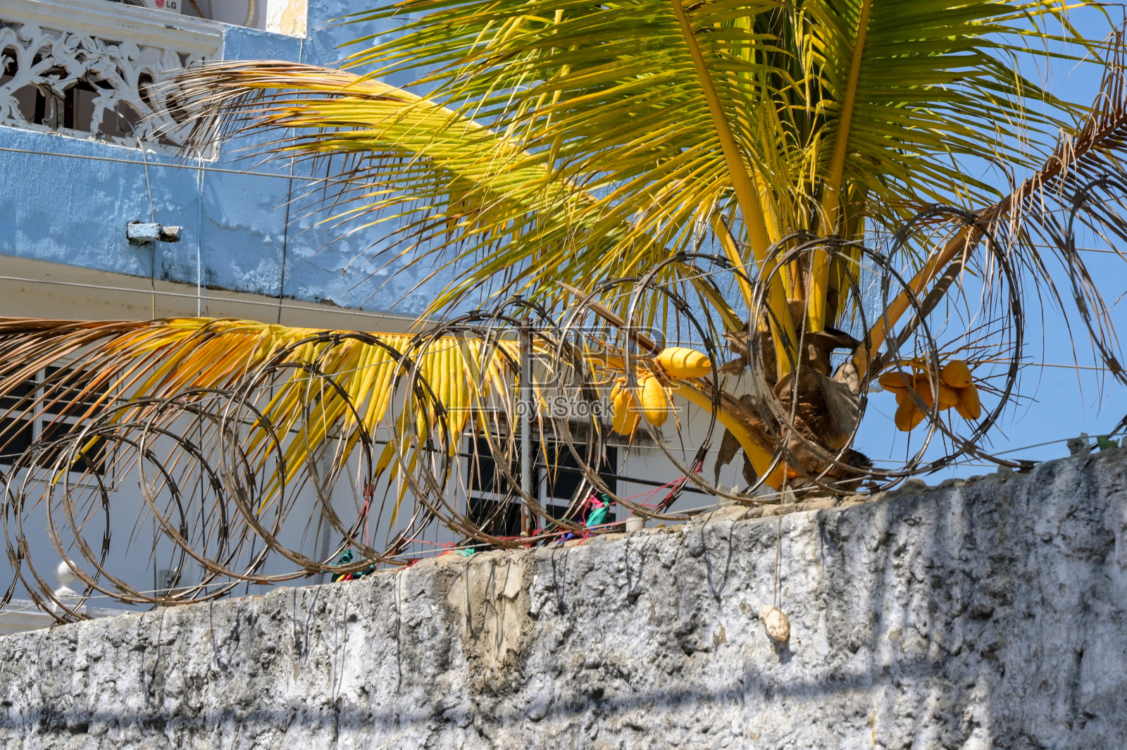 卡塔赫纳郊区一所房子墙上的铁丝网照片摄影图片