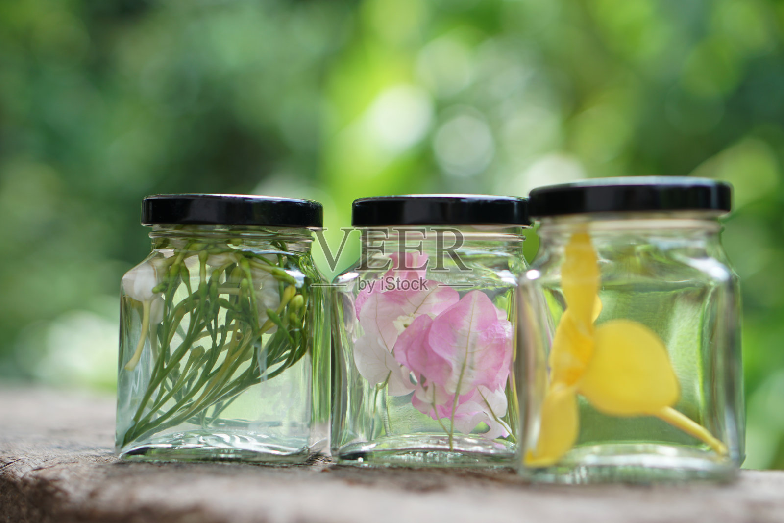 装有鲜花样品的透明瓶罐，用化学物质腌制以保持新鲜。概念，科学实验。教具、教材。创造性科学课。照片摄影图片