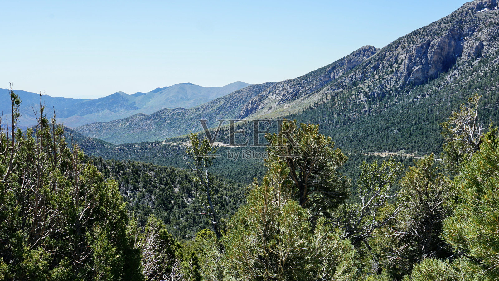 从山顶俯瞰查尔斯顿山照片摄影图片