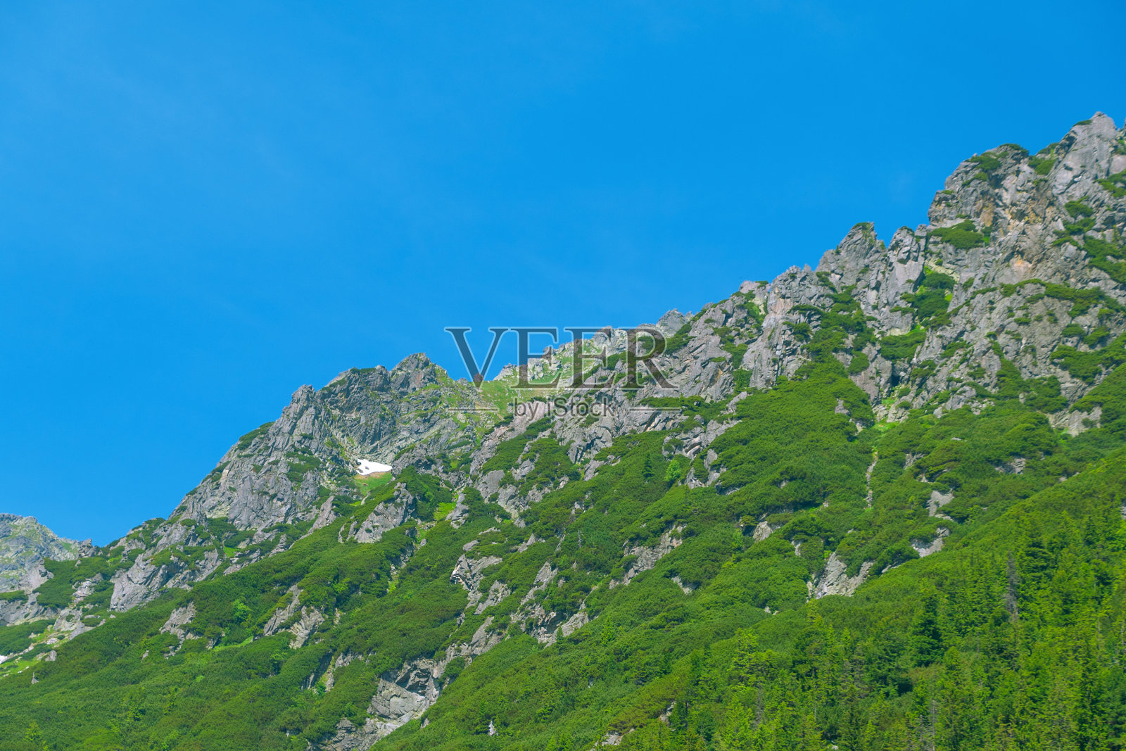 岩石在山上覆盖着绿色的草和树。Tatras、波兰照片摄影图片