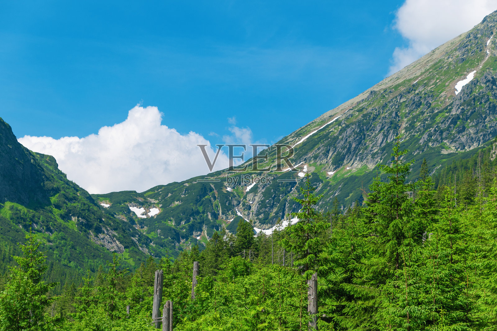 波兰塔特拉山脉美丽的夏季景观。罗兹托卡山谷的山脉。照片摄影图片