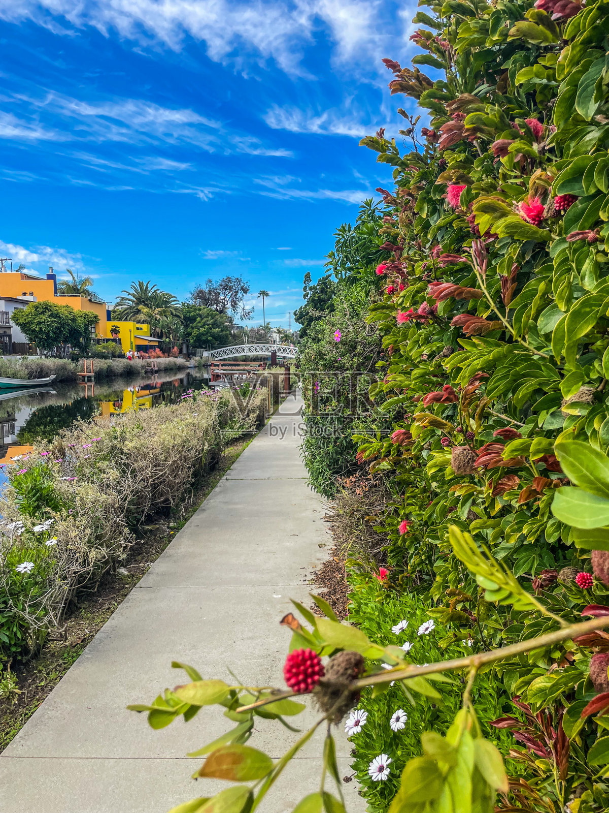 美国加州的威尼斯运河照片摄影图片