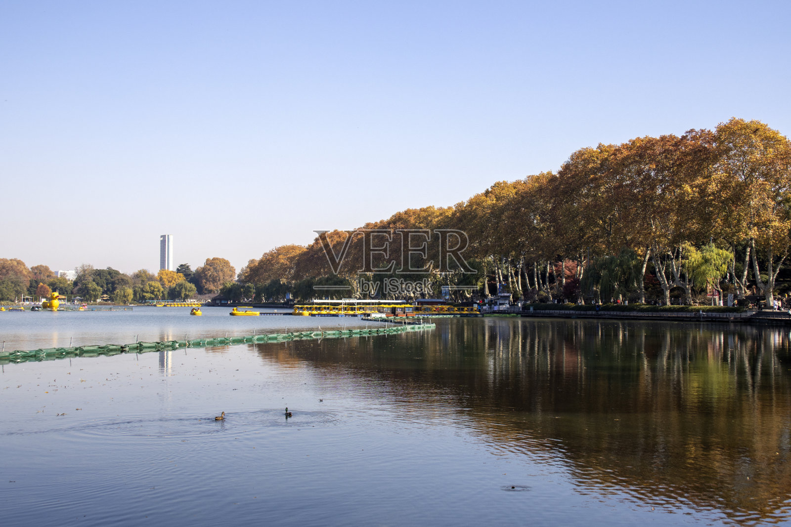 南京宣武湖秋景照片摄影图片
