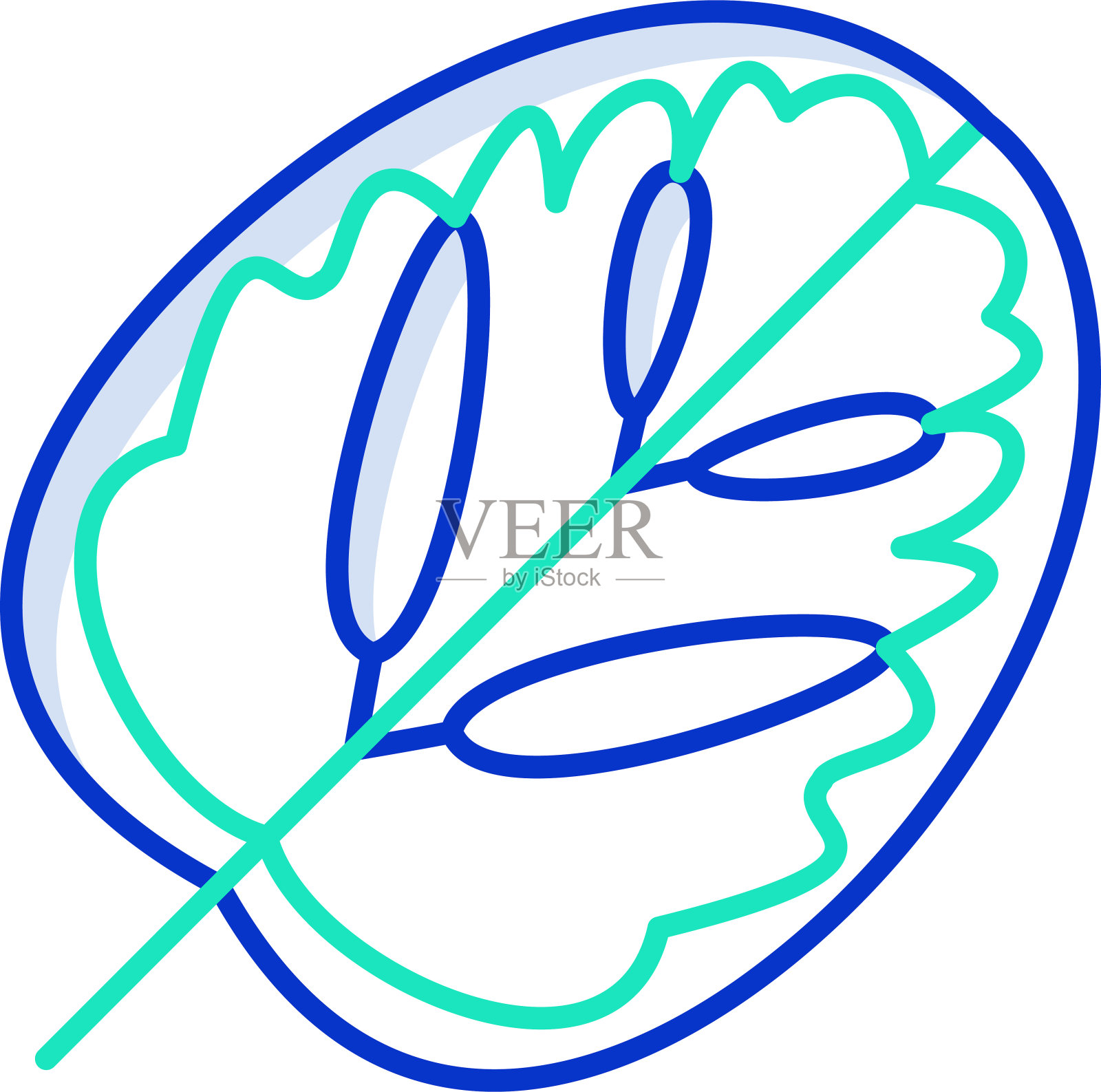 卡拉苔叶轮廓颜色矢量插图插画图片素材