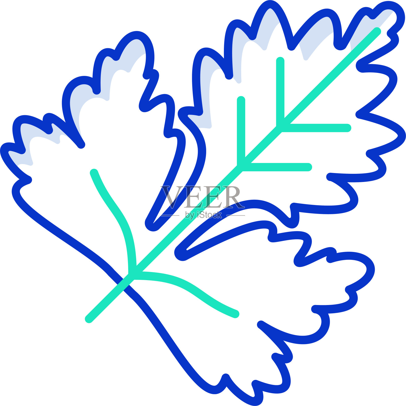 叶子轮廓颜色矢量插图插画图片素材