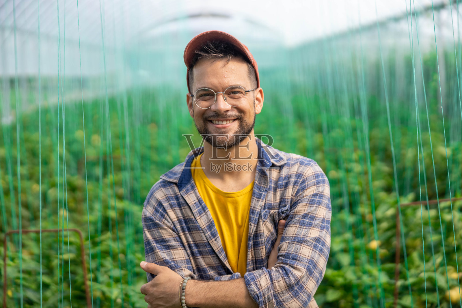 农民在温室里摆姿势照片摄影图片