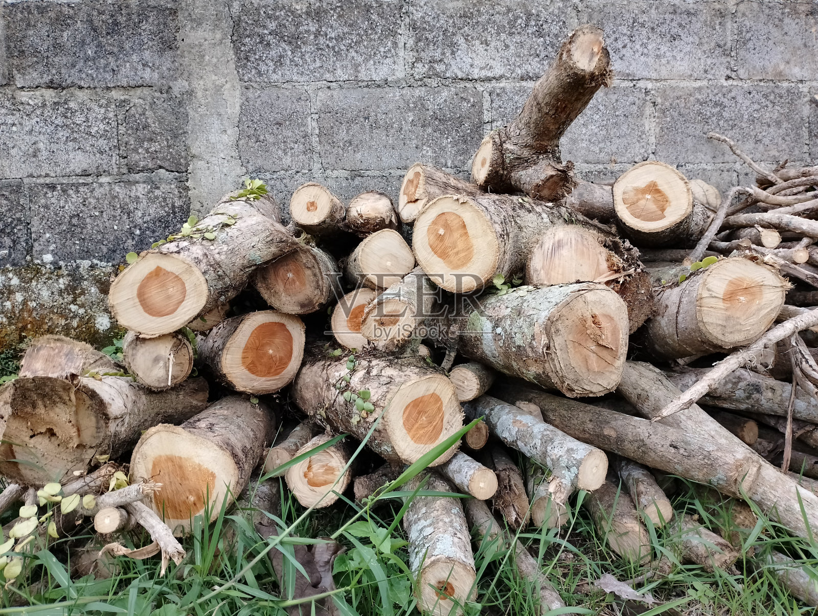 一堆准备使用的柴火照片摄影图片