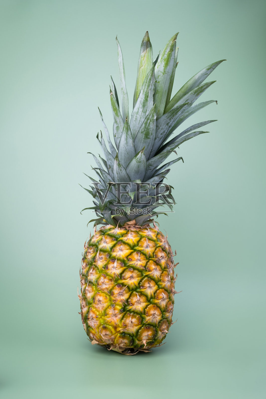 菠萝果照片摄影图片