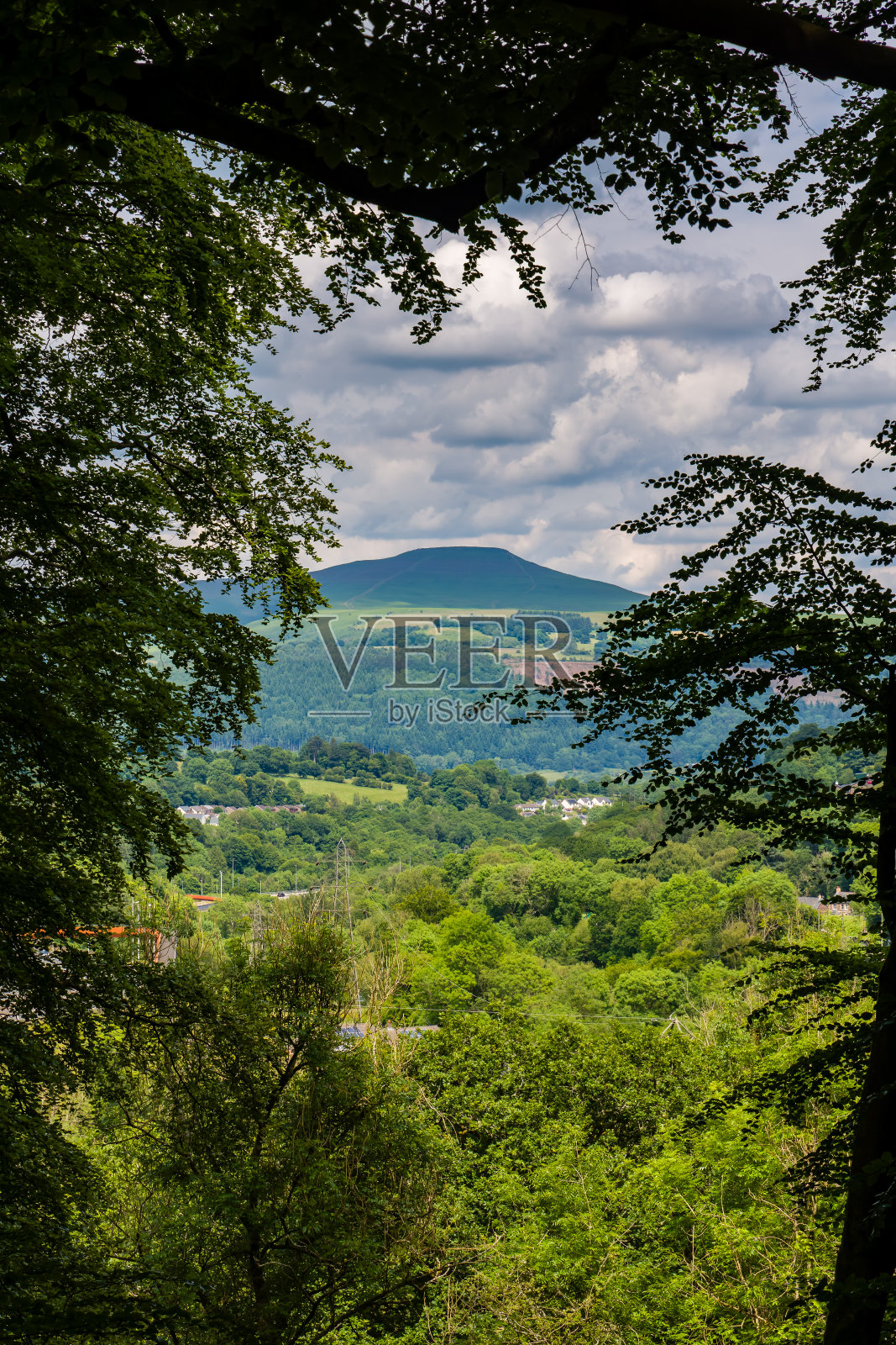 从克莱达奇峡谷的山毛榉森林看布雷肯灯塔的糖面包山照片摄影图片