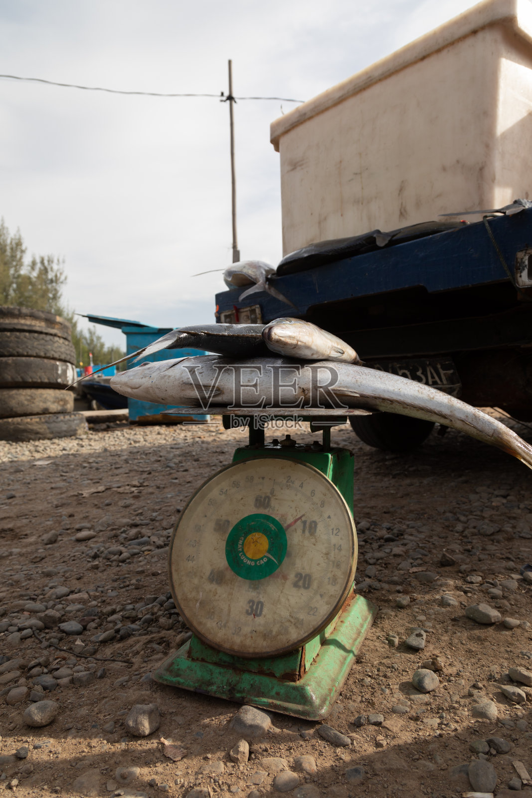 在印度尼西亚苏门答腊岛威岛的一个港口，几条鱼站在秤上，以了解它们的体重照片摄影图片