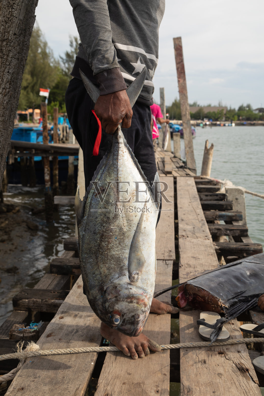 在印度尼西亚苏门答腊岛威岛附近，一名渔民紧紧抓住一条鱼照片摄影图片