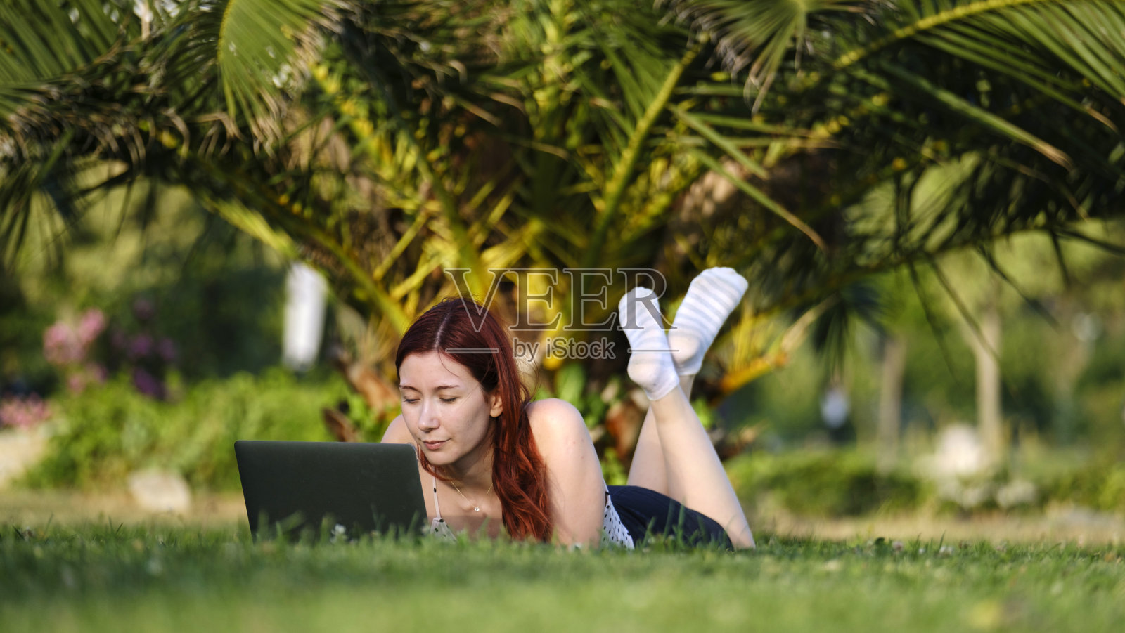 一位年轻漂亮、红发的女商人，在绿树成荫的公园草地上愉快地用笔记本电脑工作照片摄影图片