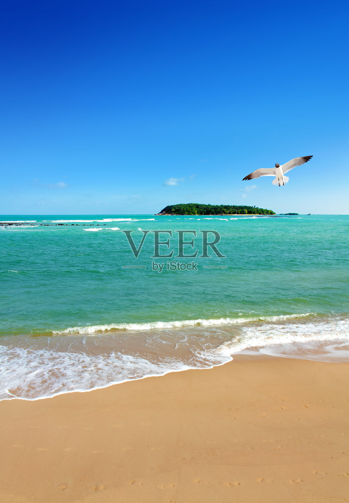 空旷的热带沙滩和蓝天之上的小岛照片摄影图片