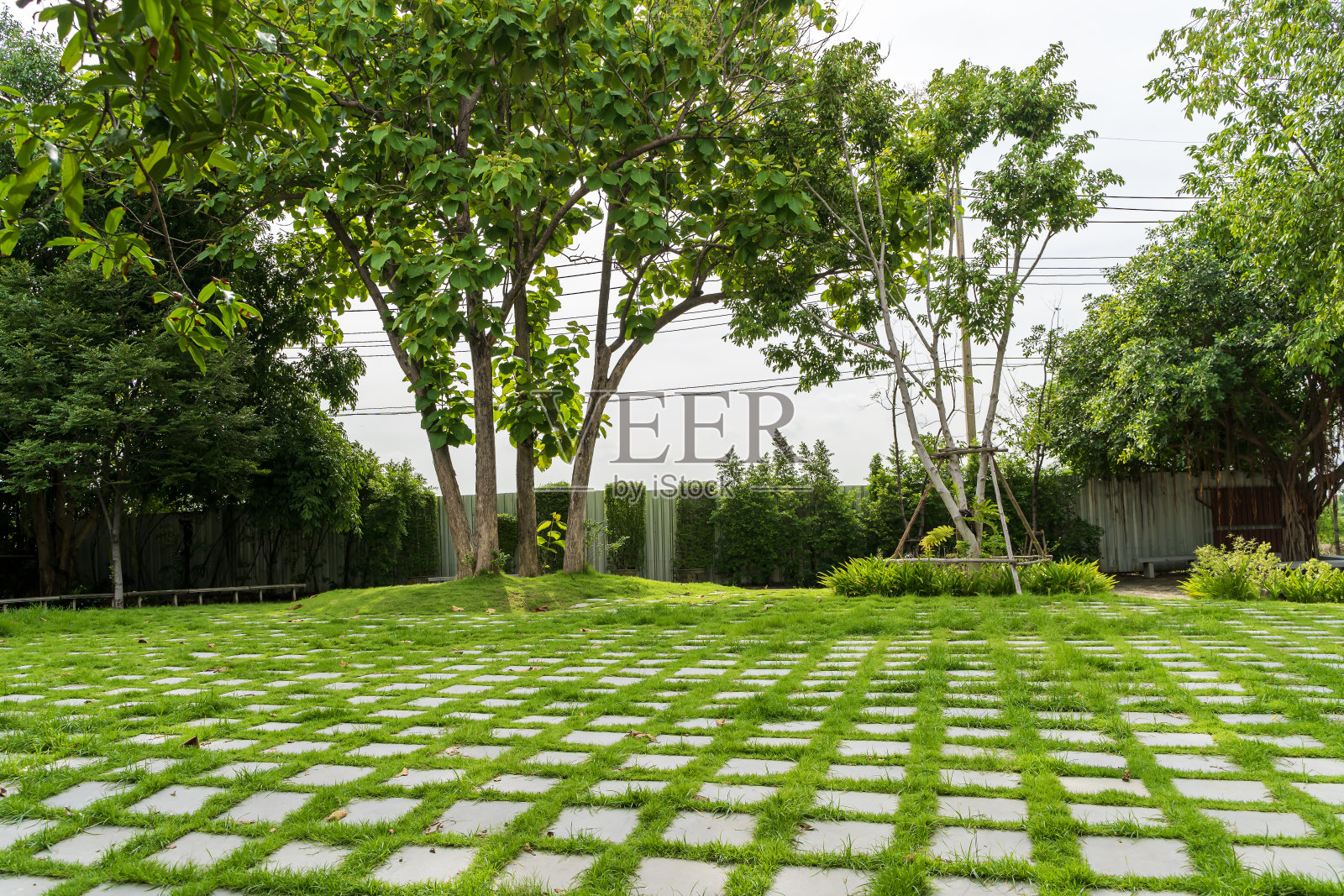 一个长满草的大院子，有一个石头露台和几棵树。院子里空旷而宁静。照片摄影图片