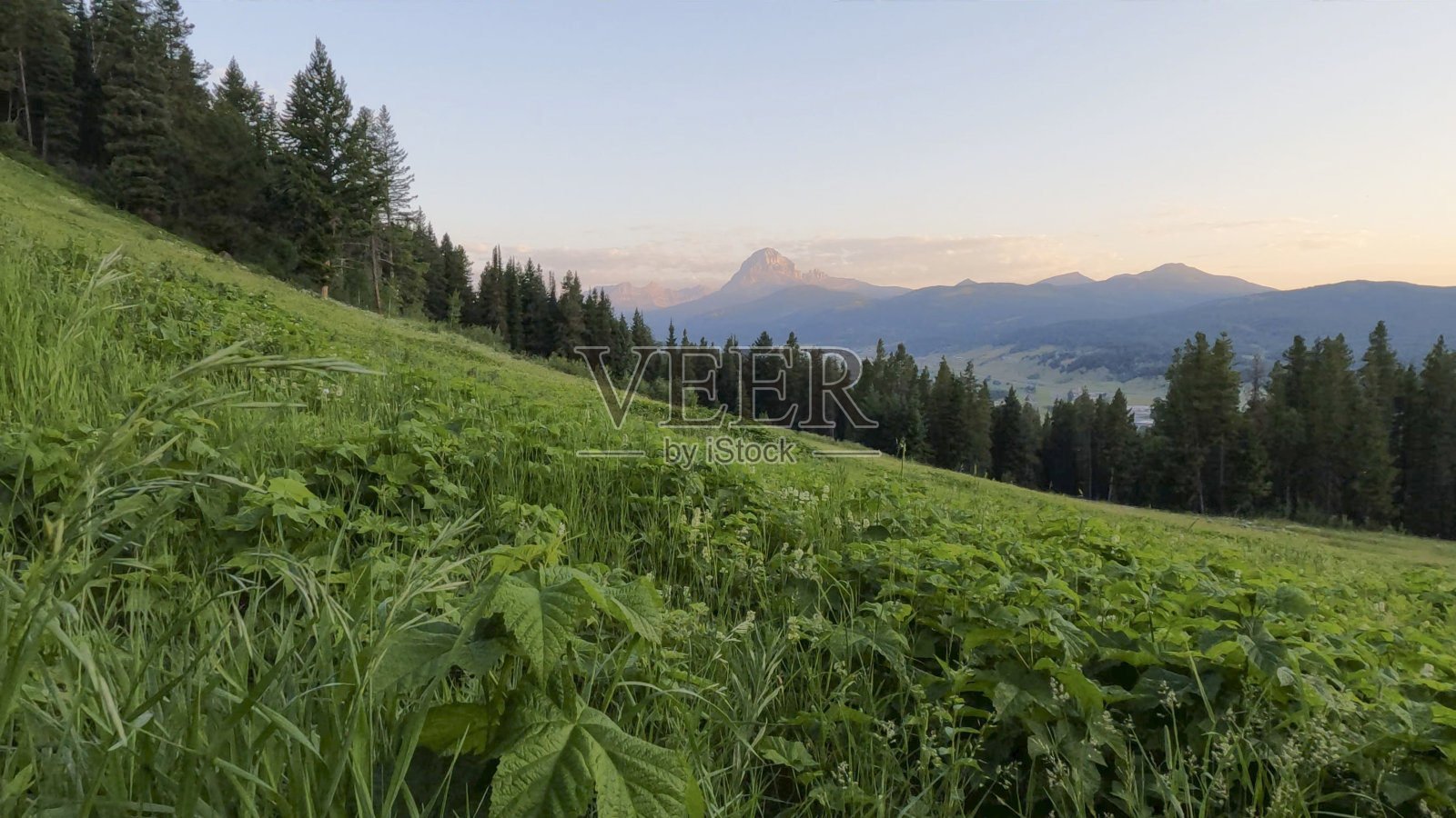山间草甸和日出时的山峰照片摄影图片