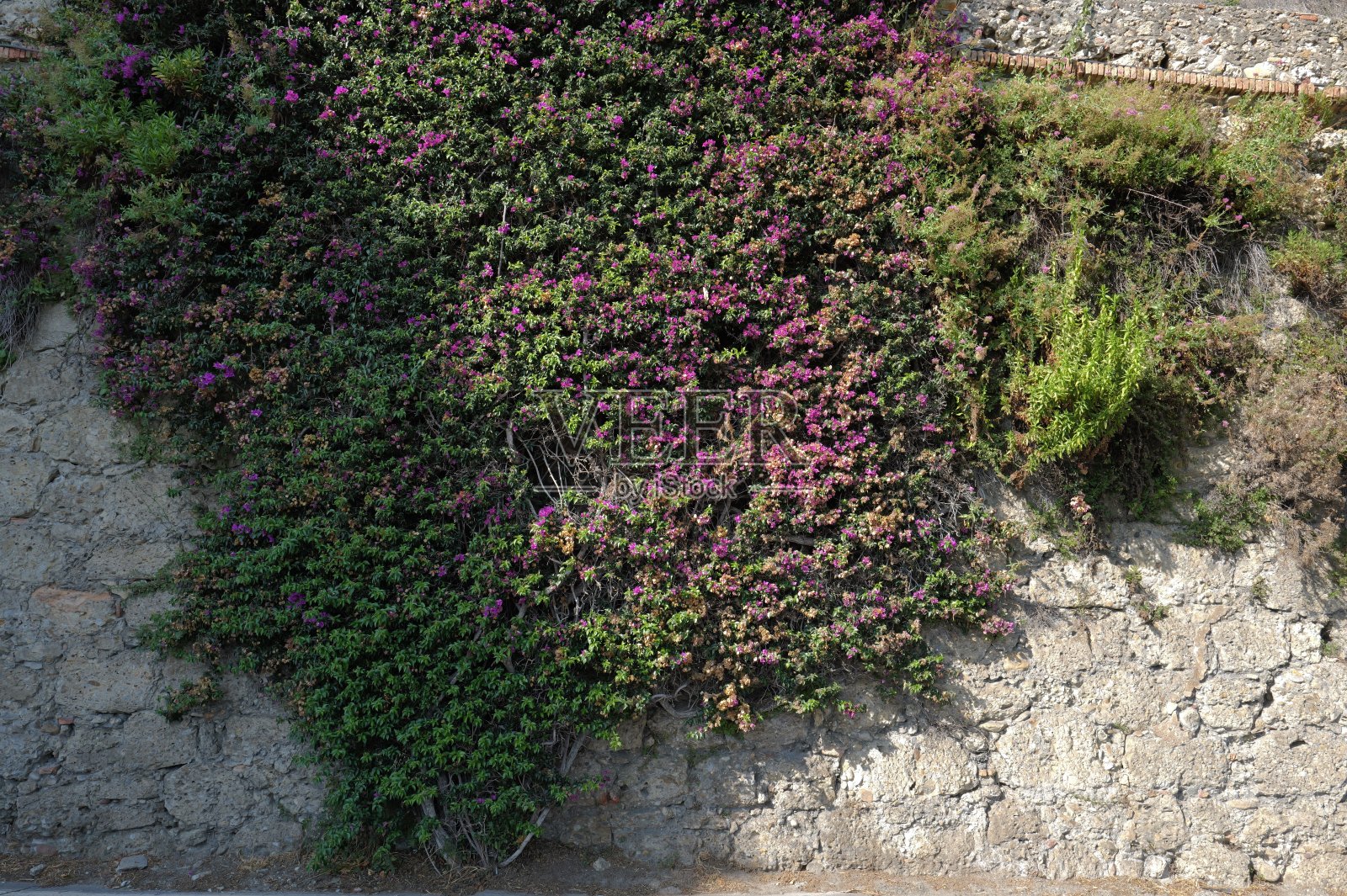 Ventimiglia城市照片摄影图片