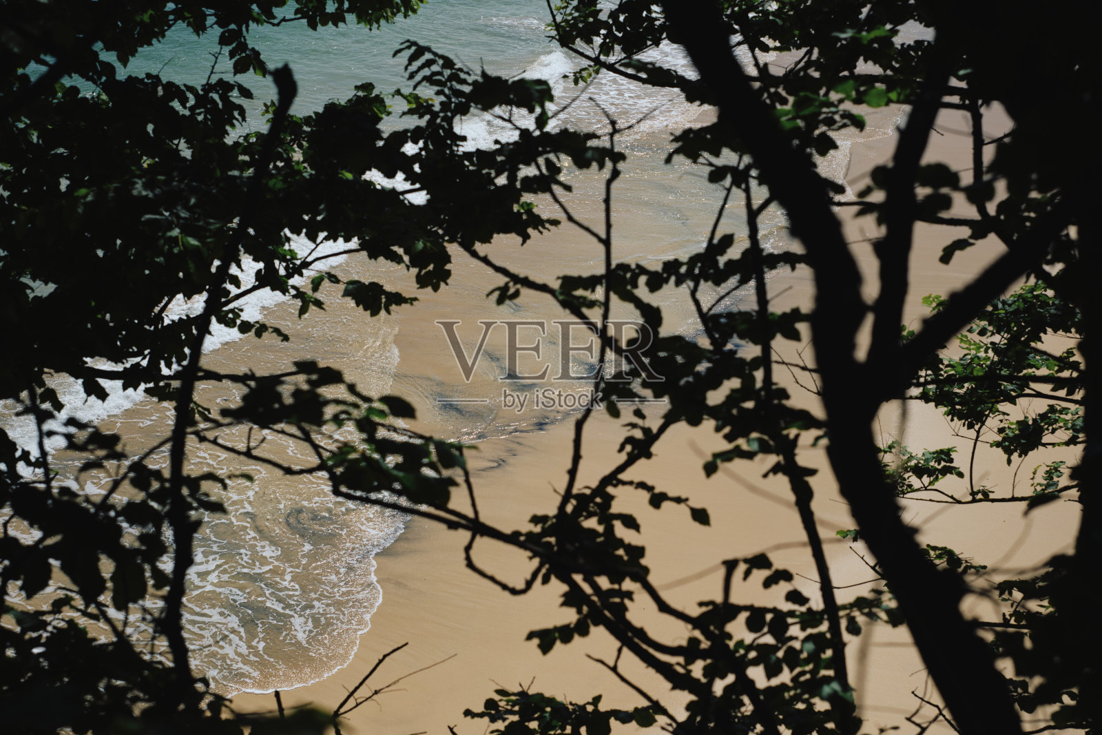 六月阳光明媚的一天，透过树枝看到康沃尔郡圣艾夫斯的波思明斯特海滩。照片摄影图片